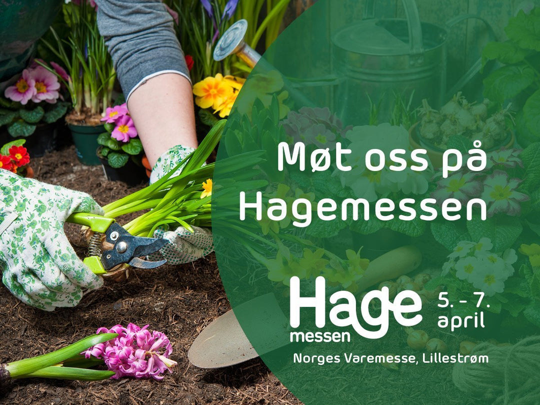 Hagemessen 2019, 5-7. april